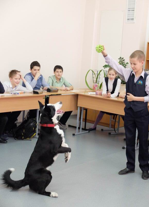 Включи школу зверей. Собачья школа. Школа для собак. Школьник с собакой. Школьники с животными.