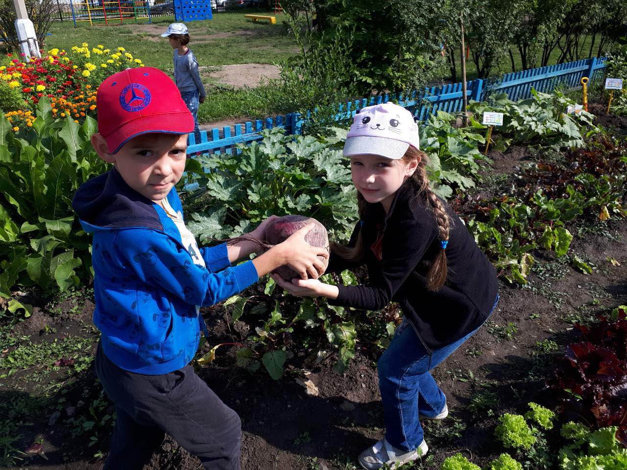 Дети сажают огород в садике
