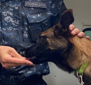 Патриотический фестиваль проходит в детских загородных оздоровительных лагерях​