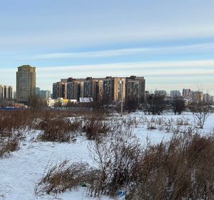 В 2025 году для Красноярска спроектируют три новые школы